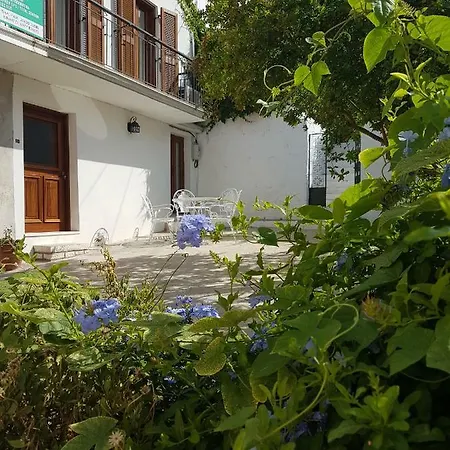 Rena House *